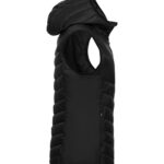 Mount Adams Vest Women