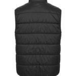 Mount Adams Light Vest Men