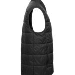 Mount Adams Light Vest Men
