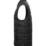 Mount Adams Light Vest Women