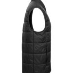 Mount Adams Light Vest Women