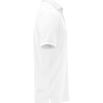 Virtue Polo Solid Men