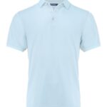 Virtue Polo Solid Men