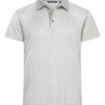 Virtue Polo Stripes Men