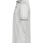Virtue Polo Stripes Men