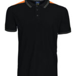 2018 POLO