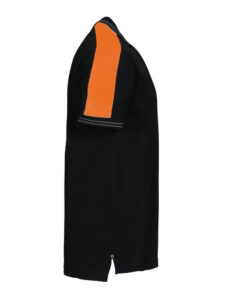 2018 POLO