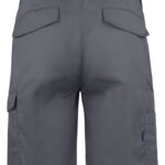 2528 SHORTS