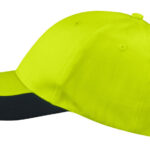 9013 CAP