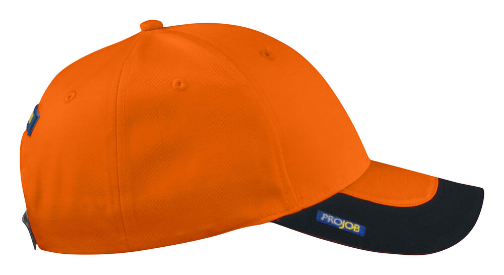 9013 CAP
