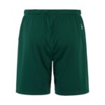 Evolve 2.0 Shorts M