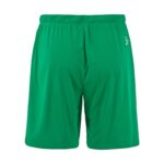 Evolve 2.0 Shorts M