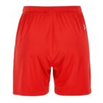 Evolve 2.0 Shorts W
