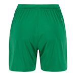 Evolve 2.0 Shorts W