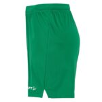 Evolve 2.0 Shorts W